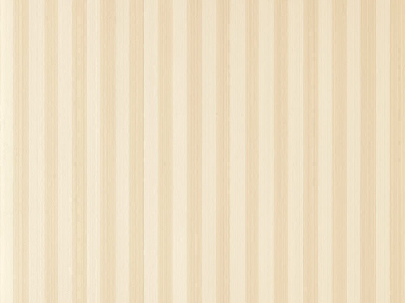 Closet Stripe 347