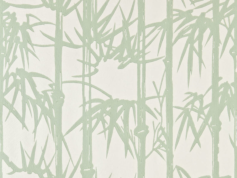 Bamboo 2139