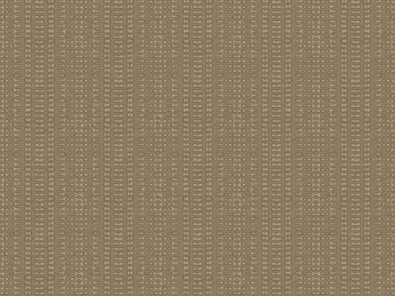 Macadamia