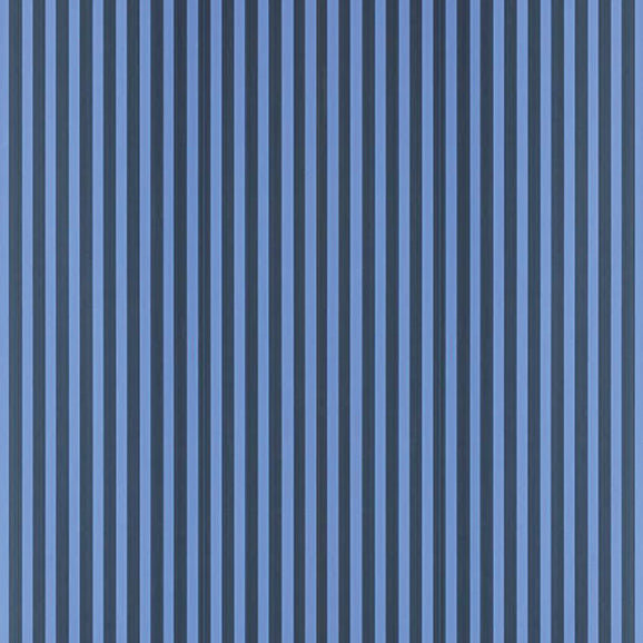 Closet Stripe 365