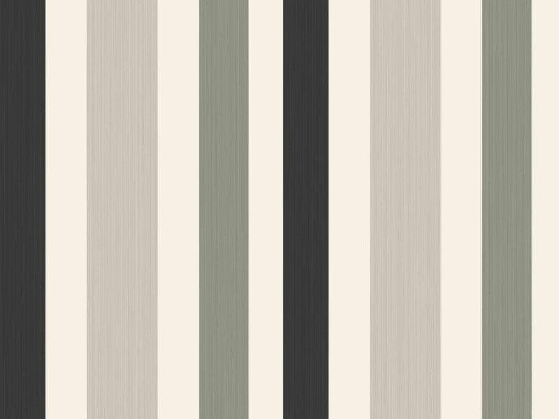 Chromatic Stripe 4201
