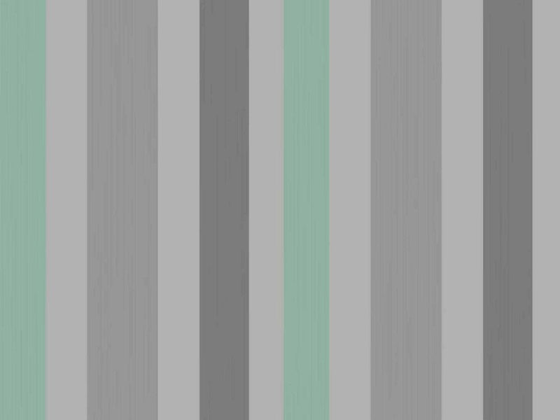 Chromatic Stripe 4202