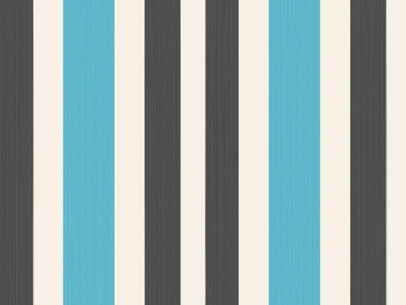 Chromatic Stripe 4205