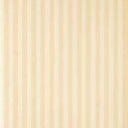 Closet Stripe 317