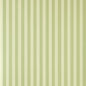 Closet Stripe 359
