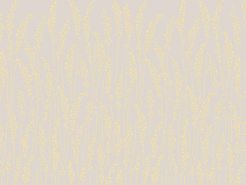 Feather Grass 5104