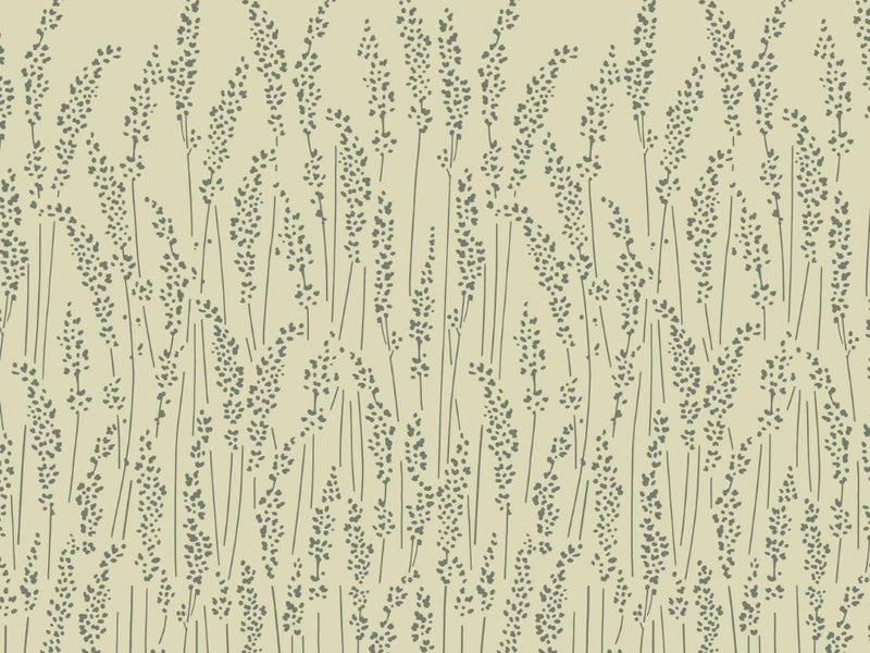 Feather Grass 5105