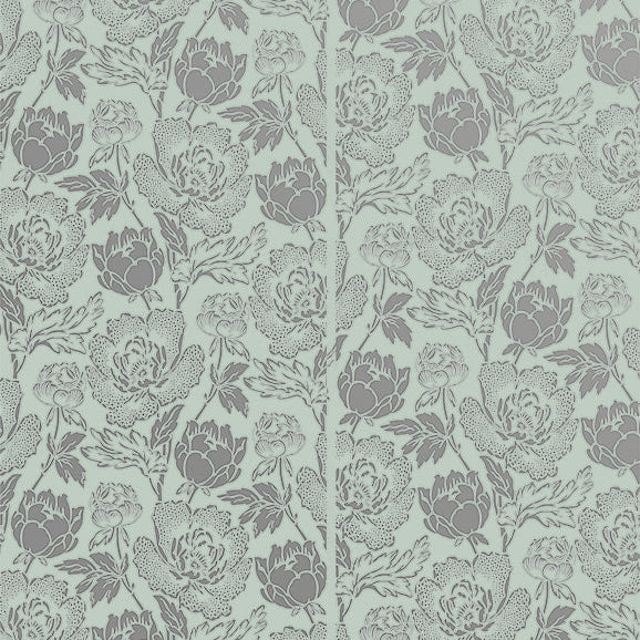 Peony 2314