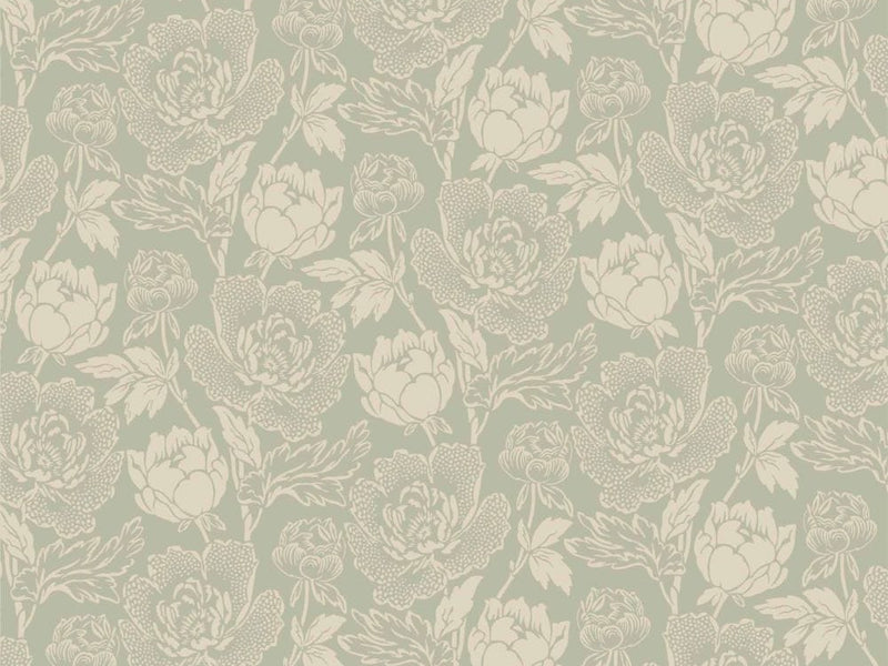 Peony 2313