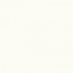 Masonry Textured Paint - Galleria White