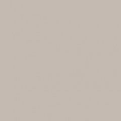 Masonry Textured Paint - Nube Gray