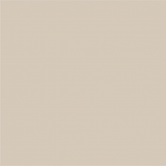 Masonry Textured Paint - Riposo Beige