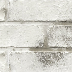 Classico Limewash - Avorio White
