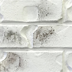 Classico Limewash - Bianco White