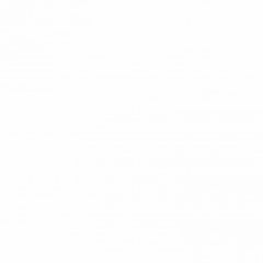 Masonry Flat - Bianco White