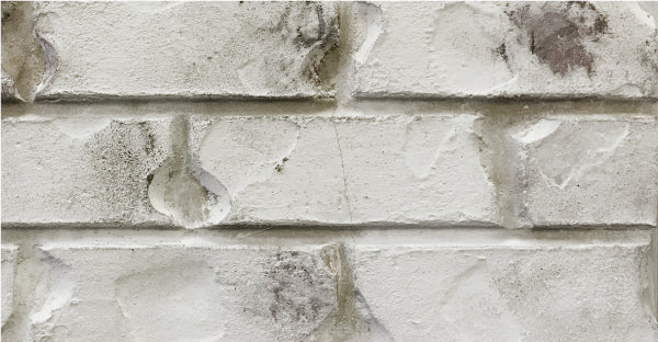 Classico Limewash - Cristallo White