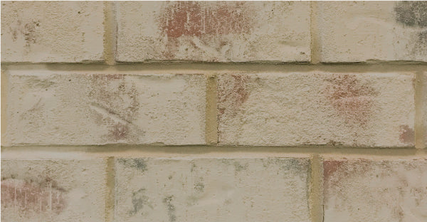 Classico Limewash - Toscana Beige