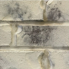 Classico Limewash - Tropea Beige