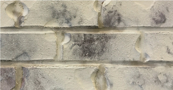 Classico Limewash - Tropea Beige