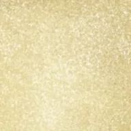 Crystal Brush Glitter Paint - CB-112