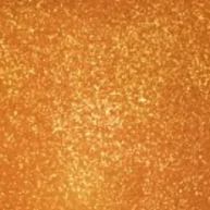 Crystal Brush Glitter Paint - CB-402