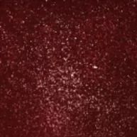 Crystal Brush Glitter Paint - CB-501