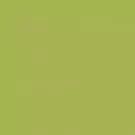 Cassiopeia - CF-5148