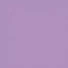 Cassiopeia - CF-5553