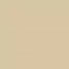 Cassiopeia - CF-5728