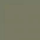 Cassiopeia - CF-5755