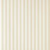 Closet Stripe 346