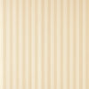 Closet Stripe 347