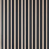 Closet Stripe 352