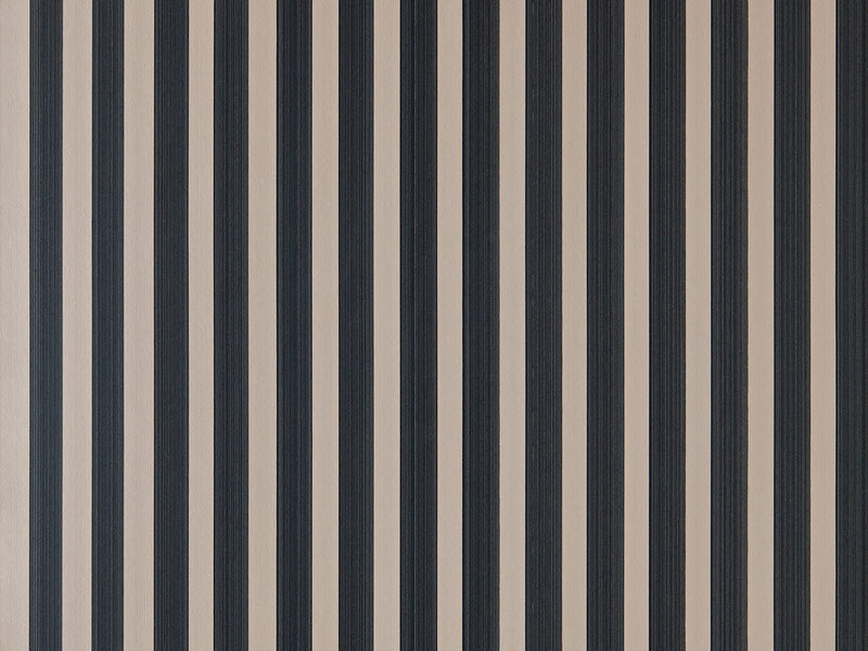 Closet Stripe 352