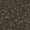 Deep Umber