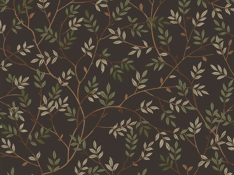 Deep Umber