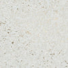 Modern White & Metallic Gold