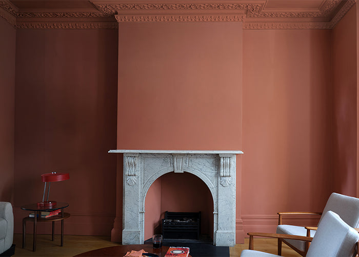 <h1><strong>Farrow & Ball Paint</strong></h1>