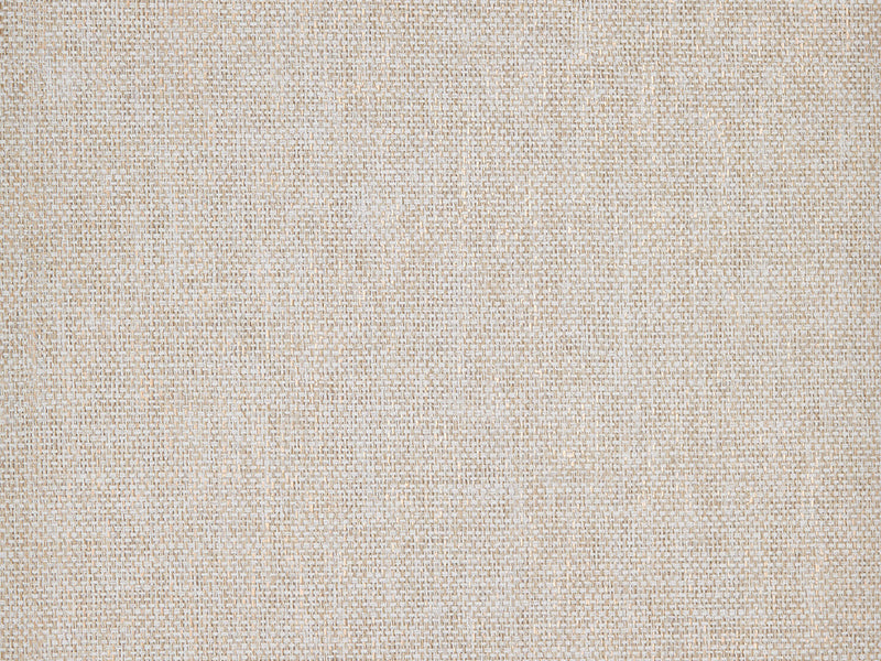 Textured Ecru and Gold
