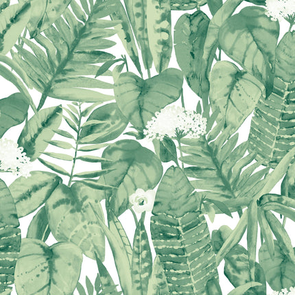 Tropical - Tempaper Peel and Stick Wallpaper