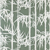 Bamboo 2143
