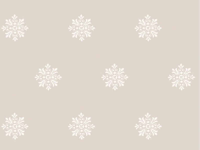 Brockhampton Star 520