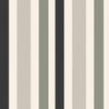 Chromatic Stripe 4201