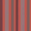 Chromatic Stripe 4203