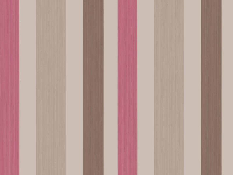 Chromatic Stripe 4204