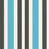 Chromatic Stripe 4205