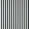 Closet Stripe 351