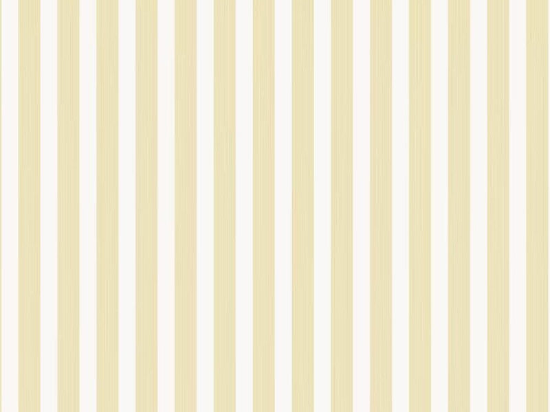 Closet Stripe 356