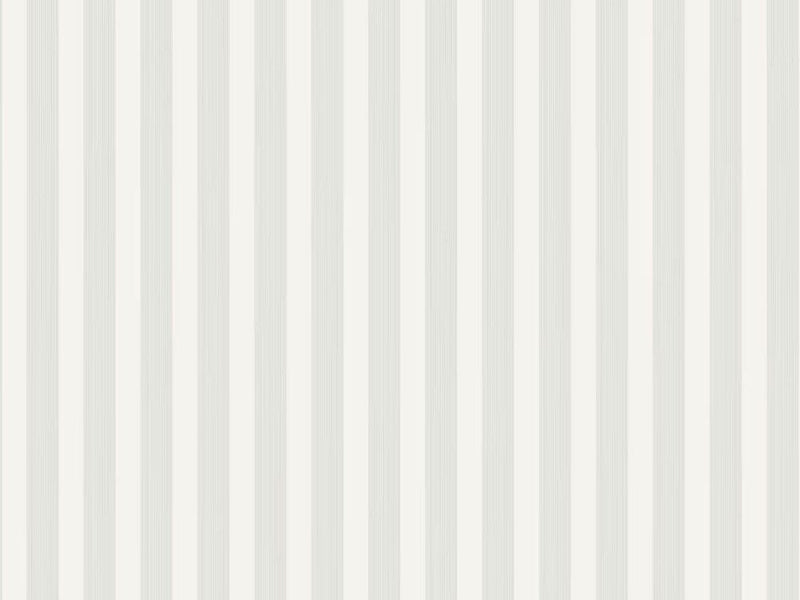 Closet Stripe 361