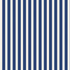 Closet Stripe 364